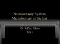 Neurosensory System Microbiology of the Ear PowerPoint PPT Presentation