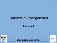 Traumatic Emergencies