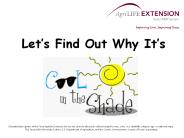 Lets Find Out Why Its