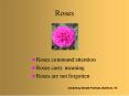 Roses PowerPoint PPT Presentation