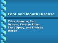 Foot and Mouth Disease PowerPoint PPT Presentation