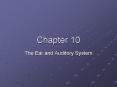 The Ear and Auditory System PowerPoint PPT Presentation