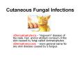 Cutaneous Fungal Infections PowerPoint PPT Presentation