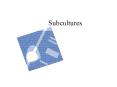 Subcultures PowerPoint PPT Presentation