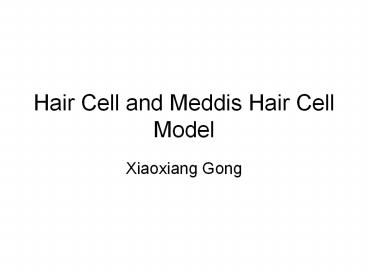 Hair Cell and Meddis Hair Cell Model