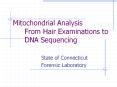 Mitochondrial Analysis From Hair Examinations to DNA Sequencing PowerPoint PPT Presentation