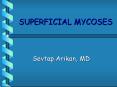 SUPERFICIAL MYCOSES PowerPoint PPT Presentation