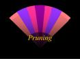 Pruning PowerPoint PPT Presentation