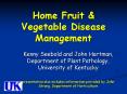 Home Fruit PowerPoint PPT Presentation
