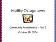 Healthy Chicago Lawn PowerPoint PPT Presentation