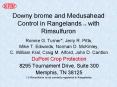 Downy brome and Medusahead Control in Rangelands 1 with Rimsulfuron PowerPoint PPT Presentation