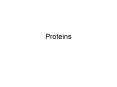 Proteins PowerPoint PPT Presentation