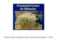 written by Mary Hockenberry Meyer, Extension Horticulturist, 71999. PowerPoint PPT Presentation