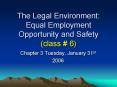 The Legal Environment: Equal Employment Opportunity and Safety class PowerPoint PPT Presentation