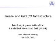 Parallel and Grid I/O Infrastructure