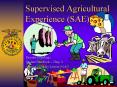 Supervised Agricultural Experience SAE PowerPoint PPT Presentation