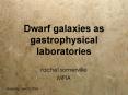 Dwarf galaxies as gastrophysical laboratories PowerPoint PPT Presentation
