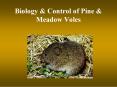 Biology PowerPoint PPT Presentation