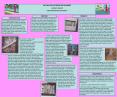 Barbie gives girls a false sense of reality. PowerPoint PPT Presentation