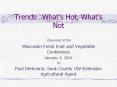 TrendsWhats Hot, Whats Not PowerPoint PPT Presentation
