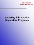 III. Target Market. IV. Problems and Opportunities. V PowerPoint PPT Presentation