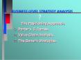 BUSINESS LEVEL STRATEGY ANALYSIS PowerPoint PPT Presentation