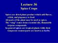 Lecture 36 Spice Crops PowerPoint PPT Presentation
