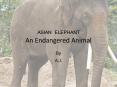 ASIAN ELEPHANT An Endangered Animal PowerPoint PPT Presentation