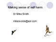 Making sense of self harm PowerPoint PPT Presentation