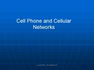 Laurie Shteir, CIS Department