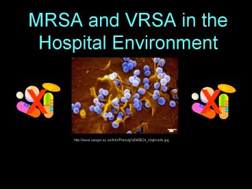MRSA and VRSA in the Hospital Environment