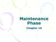 Maintenance Phase PowerPoint PPT Presentation