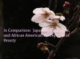 In Comparison: Japanese, Caucasian, and African American Perceptions of Beauty PowerPoint PPT Presentation