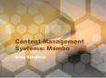 Content Management Systems: Mambo PowerPoint PPT Presentation