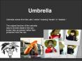 Umbrella PowerPoint PPT Presentation