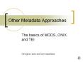 Other Metadata Approaches PowerPoint PPT Presentation
