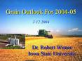 Grain Outlook For 2004-05 PowerPoint PPT Presentation