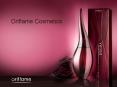 Oriflame Cosmetics PowerPoint PPT Presentation