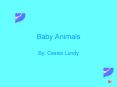 Baby Animals PowerPoint PPT Presentation