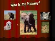 Who Is My Mommy