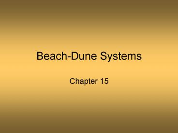 BeachDune Systems