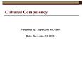 Cultural Competency PowerPoint PPT Presentation