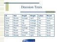 Decision Trees PowerPoint PPT Presentation