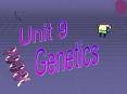 Genetics PowerPoint PPT Presentation