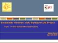 Sustainable Priorities: Gold Standard CDM Project PowerPoint PPT Presentation