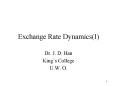 Exchange Rate DynamicsI
