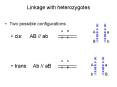 Linkage with heterozygotes PowerPoint PPT Presentation