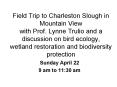 Field Trip to Charleston Slough in Mountain View with Prof. Lynne Trulio and a discussion on bird ec PowerPoint PPT Presentation