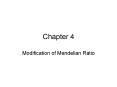 Modification of Mendelian Ratio PowerPoint PPT Presentation