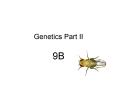 Genetics Part II PowerPoint PPT Presentation